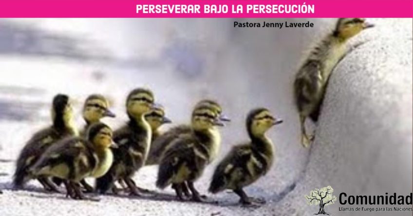 Perseverar bajo las persecuciones